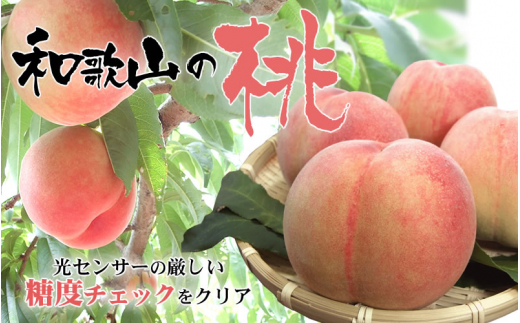  和歌山の桃 秀品 [約3.8~4kg] (サイズ・品種おまかせ) 紀伊国屋文左衛門本舗/もも 桃 フルーツ 果物 和歌山県 ※2026年6月中旬～2026年8月中旬頃に順次発送予定【kmtb800B