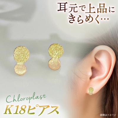 ふるさと納税 糸島市 K18 まる ピアス ダイヤタガネ 糸島市 / Chloroplast / [ALF013]