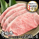 【ふるさと納税】受賞歴多数!! 宮崎牛 ロースステーキ 250g×4【合計1Kg】宮崎県産 肉 和牛 黒毛和牛 国産 冷凍 父 母 敬老 お祝い 内祝い お中元 お歳暮 贈り物 ギフト 誕生日 プレゼント BBQ キャンプ 焼き肉　焼肉 ロース ステーキ アウトドア 厳選 ブランド牛 おすすめ