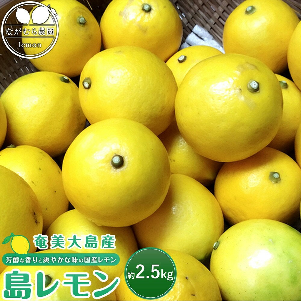 【ふるさと納税】奄美大島産 島れもん 2.5kg＜芳醇な香りと爽やかな味の国産レモン＞ | 鹿児島 瀬戸内町 奄美大島 奄美 ふるさと 納税 お取り寄せ ご当地 フルーツ 果物 くだもの 期間限定 数量限定 れもん