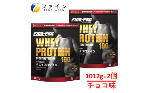 R-4　ファインプロ ホエイプロテイン100　チョコ味 2個セット