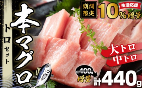 【期間限定】本マグロ トロセット 400g | 那智勝浦町 海鮮 魚介類 本まぐろ 本マグロ まぐろ マグロ 鮪 maguro トロ 刺身用 セット 人気 おすすめ グルメ 大トロ 中トロ 寿司 国産まぐろ 生活応援