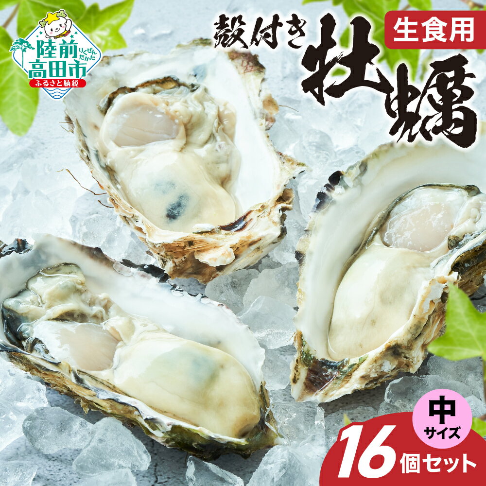 【ふるさと納税】先行予約 殻付き 牡蠣 中サイズ 16個 セット 生食用 剥き方説明書付き [ かき カキ 生牡蠣 大粒 旬 天然 新鮮 海鮮 限定 人気 おすすめ 冷蔵 料理 鍋 牡蠣鍋 バーベキュー フライ カキフライ 産地直送 岩手 陸前高田 三陸産 広田湾産 気仙町 一本松牡蠣 ]