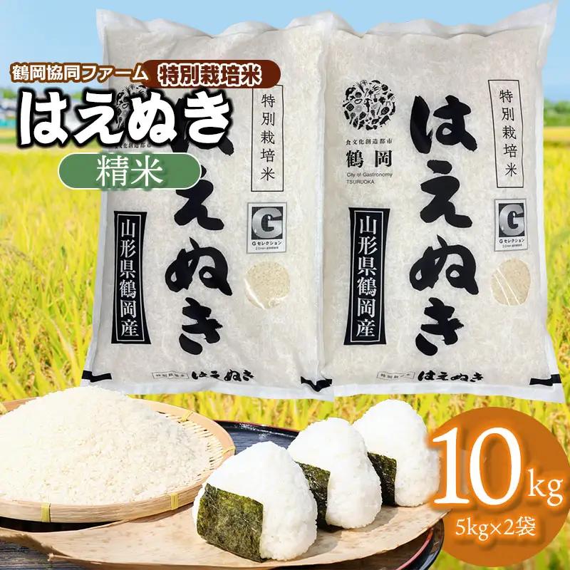 【令和7年産】 特別栽培米はえぬき　10kg　(5kg×2袋)　山形県鶴岡産　鶴岡協同ファーム