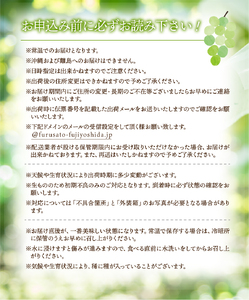 【 ふるなび限定 】 2024年発送 先行予約 高級 山梨県産 シャインマスカット 2房 （約1.2kg） 数量限定 FN-Limited シャインマスカット 2房 果物 シャインマスカット 期間限定