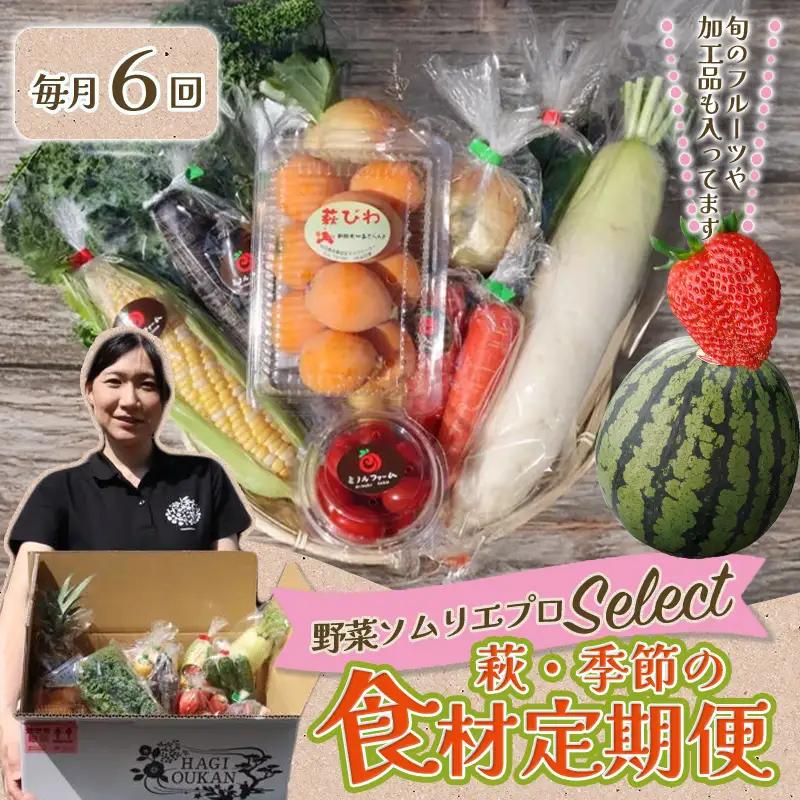 野菜ソムリエプロselect／萩・季節の食材定期便 6回コース