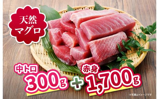 三崎の天然マグロ三昧！中トロ・赤身がたっぷり入った王道コンビ2kgセット！　M063-004