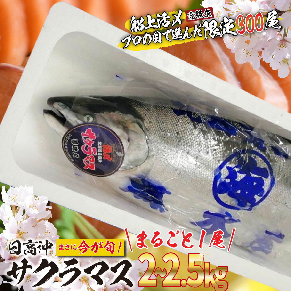 【ふるさと納税】 ＜5月31日までの受付＞ 北海道 天然 サクラマス 2～2.5kg まるごと 1尾 ふるさと納税 サクラ鱒 マス 旬 新鮮 魚 魚介 海鮮 冷蔵 焼魚 ムニエル フライ 刺身 燻製 活き〆 ふるさと納税 北海道 新ひだか町