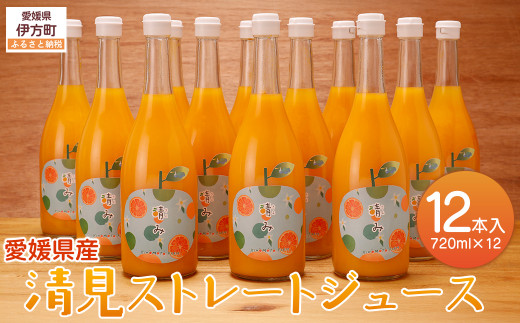 【栽培期間中農薬不使用】清見ストレートジュース 720ml×12本入り ※離島への配送不可 【 ふるさと納税 人気 おすすめ ランキング 柑橘 みかん ミカン 蜜柑 ジュース ミカンジュース オレンジジュース 清見ストレートジュース 清見タンゴール フルーツ 果物 産地直送 ギフト 贈り物 栽培期間中農薬不使用 木野本農園 愛媛県 伊方町 送料無料 】 IKTG033
