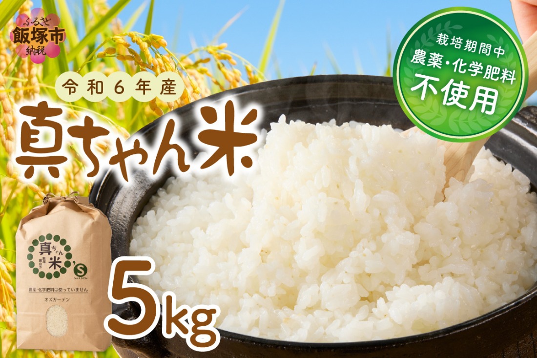 【B6-024】【令和6年産】農薬・化学肥料不使用 真ちゃん米 5kg