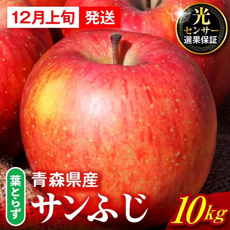 【2026年12月上旬発送】りんご 葉取らずサンふじ 10kg 程度 青森りんご