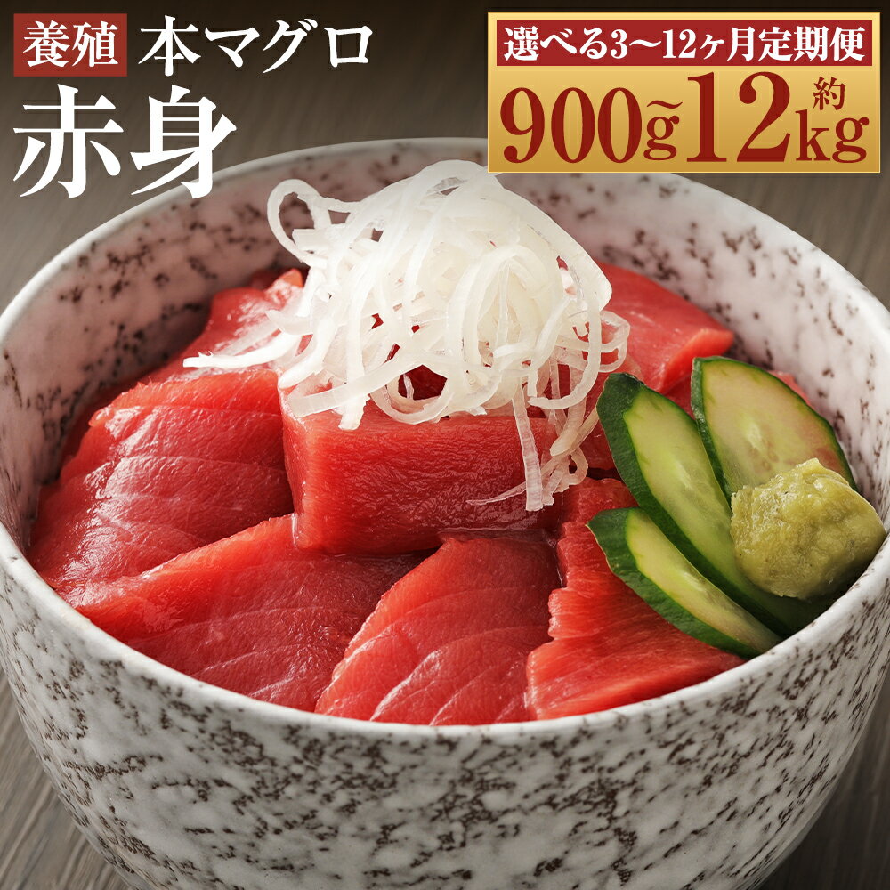 【ふるさと納税】【選べる定期便】長崎県産 本マグロ 赤身 約300g/約500g/約1kg 3ヶ月/6ヶ月/12ヶ月 選べる内容量 定期便【大村湾漁業協同組合】