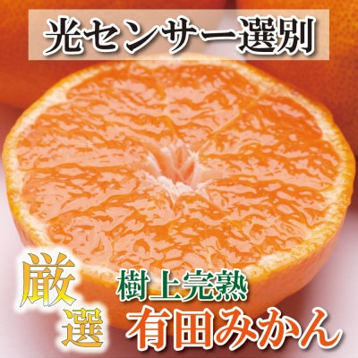 家庭用完熟有田みかん5kg+250g(傷み補償分)【光センサー選果】