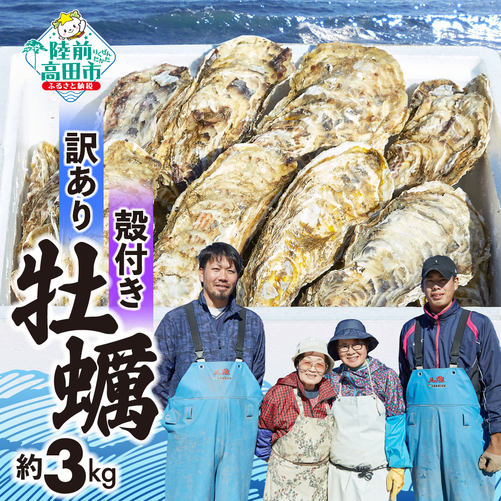 訳あり 殻付き牡蠣 生食用 約3kg 【 牡蠣 かき カキ 殻付き 生食 数量限定 国産 三陸産 広田湾 小友 大和水産 】RT2626