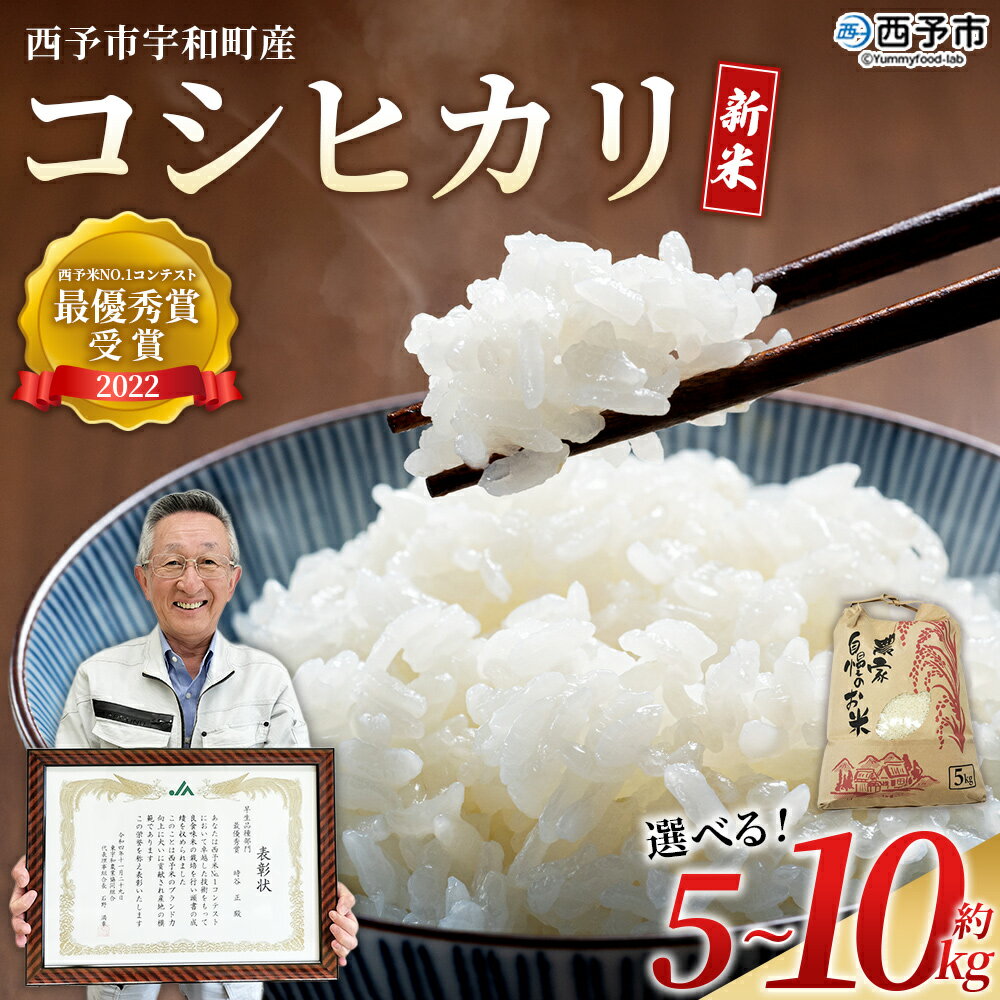 【ふるさと納税】＜新米 令和7年産 西予市宇和町産 コシヒカリ 約5kg/10kg＞ お米 コメ こめ 白米 精米 ご飯 穀物 こしひかり 西予米NO.1コンテスト 最優秀賞 受賞 特産品 愛媛県産 西予市産 宇和町産 時谷ファーム 愛媛県 西予市 【常温】『2025年11月から順次出荷予定』