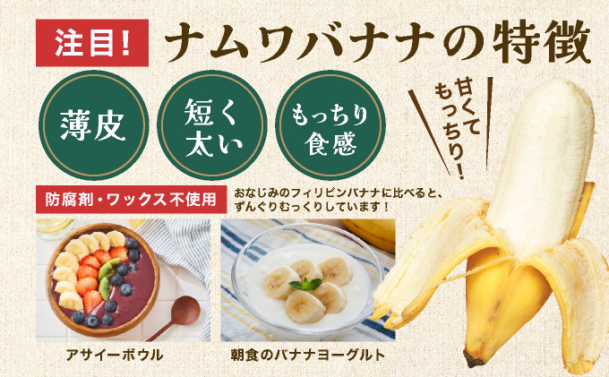 ≪2026年4～10月順次発送≫ 石垣島産 希少な国産『ナムワバナナ』を贅沢に1房丸ごと約1.5-2kg（12-20本）| 沖縄 石垣 バナナ フルーツ 果物 南国フルーツ 国産