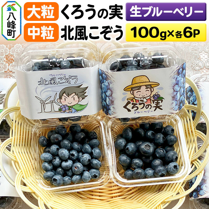 【ふるさと納税】【2026年収穫先行受付】生ブルーベリー(大粒)「くろうの実」＆(中粒)「北風こぞう」セット 各約100g×6パック 計12パック [ブルーベリー くろうの実 北風こぞう 生 大粒 中粒 先行予約 国産]