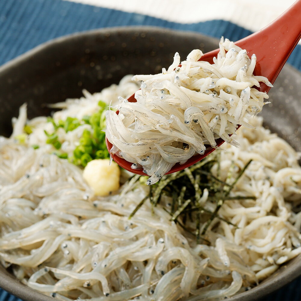 【ふるさと納税】大阪湾産 漁師が直送 生しらす 約100g×2個 釜揚げしらす 約80g×3個 計約440g 自宅で 生しらす丼 釜揚げ丼 2色丼が楽しめる シラス 生シラス 魚 釜揚げ 海鮮 海鮮丼 しらす丼 冷凍 国産 大阪府 阪南市 送料無料