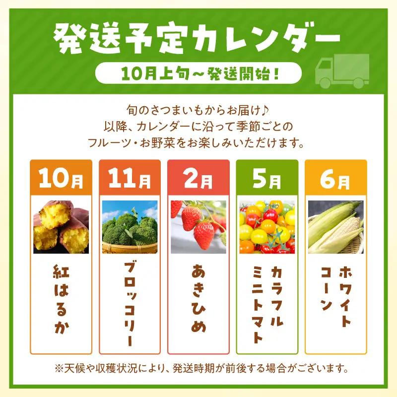 【旬の野菜定期便】イチゴやヤサイ 全5種  旬野菜