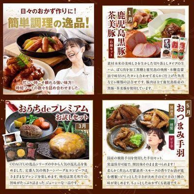 ふるさと納税 南九州市 【発送月固定定期便】時短!お手軽!ごちそうバラエティ定期便全6回 |  | 01