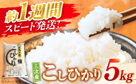 【スピード配送】 こしひかり 5kg 白米 【令和6年産米】泉水の米 お米 ご飯 コシヒカリ 三次市/泉水ファームふくしま[APAJ006]