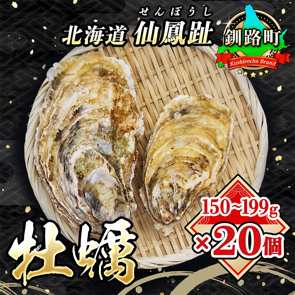 北海道 仙鳳趾名産 牡蠣 150g～199g×20コ+かきナイフ付き かき漁師直送 K3-4 【センポウシ : 釧路町の東 厚岸湾の西 カキの名産地】 仙鳳趾 北海道 釧路町 釧路超 特産品