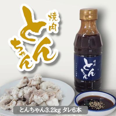 ふるさと納税 三好市 とんちゃん(3200g)と焼肉のタレ(300ml×6)セット