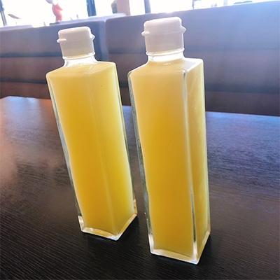 ふるさと納税 南国市 ゆずしぼり　300ml×2本