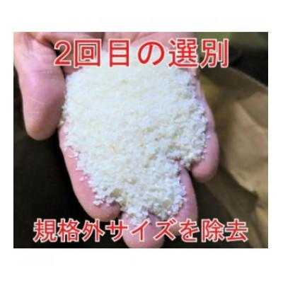 ふるさと納税 大仙市 【毎月定期便】【令和7年産】20kg(5kg×4袋)大手有名百貨店出荷米　あきたこまち全9回 |  | 01
