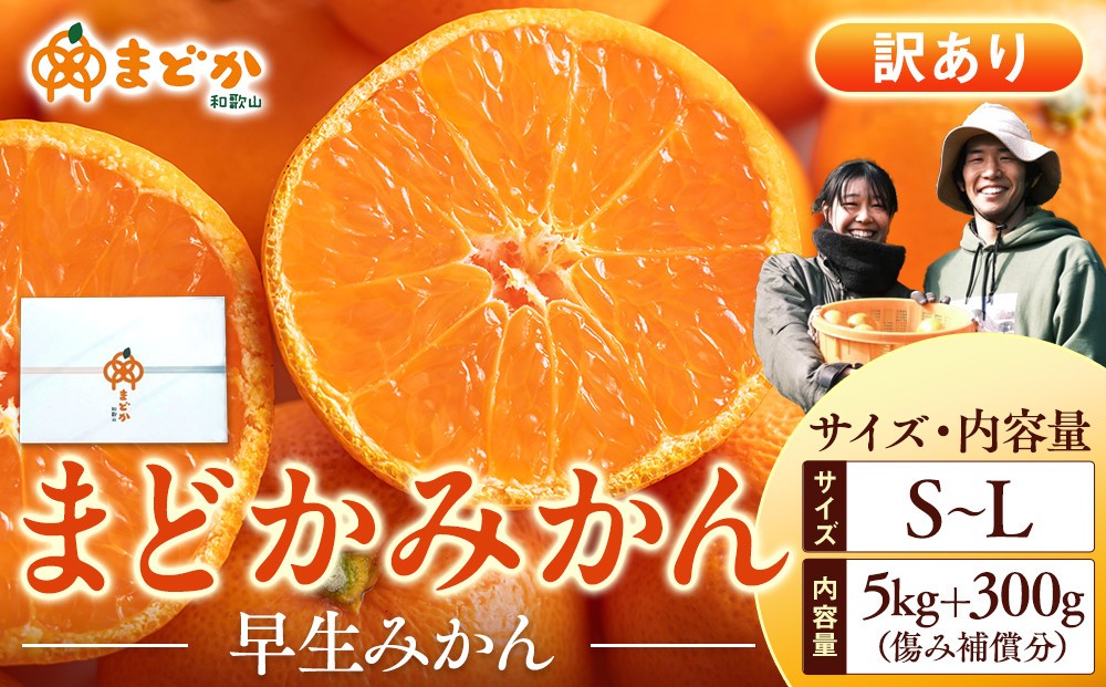 
                  ［先行予約］［訳あり］秋採れみかん（早生みかん）S〜Lサイズ混合 5kg＋300g（傷み補償分）［2025年11月上旬より発送］
                