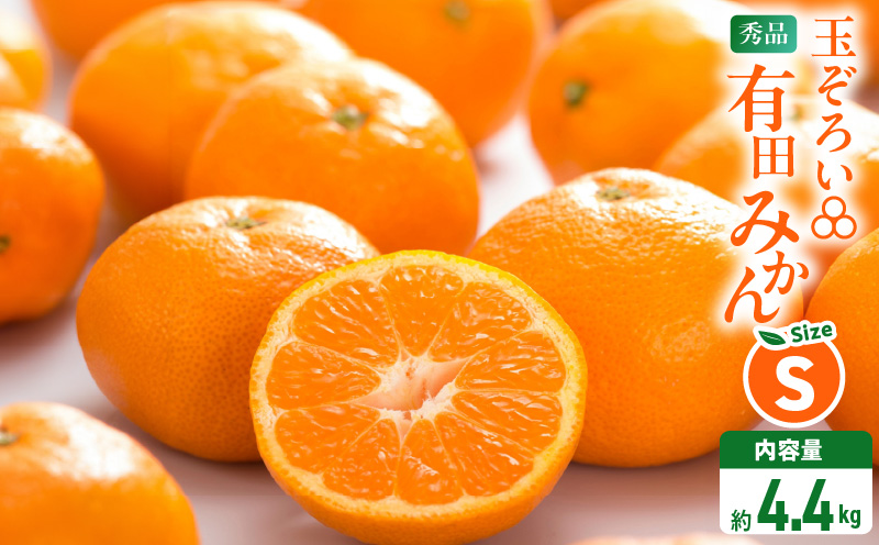 MK1046_【2025年先行予約】みかん Ｓサイズ 秀品 箱込 5kg ( 内容量 4.4kg ) 有田みかん 和歌山県産 産地直送 贈答用 【みかんの会】