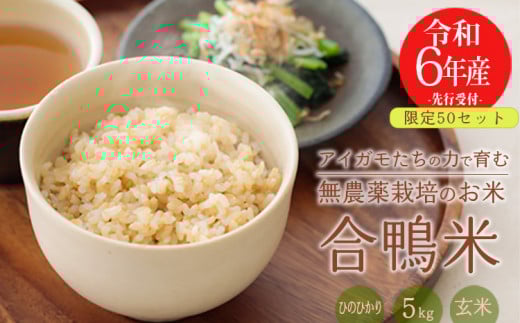 【令和6年産先行受付】無農薬栽培 合鴨米ひのひかり(玄米)5kg TF0424-P00029