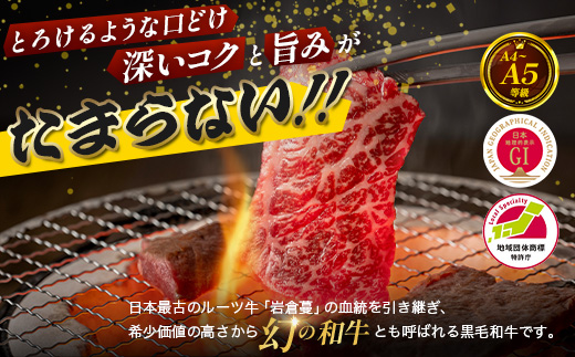 【比婆牛】A5〜A4ランク モモ・バラ焼肉セット 300g | 牛肉 黒毛和牛 焼き肉  焼肉 やきにく 焼肉セット お肉 広島県 BBQ バーベキュー