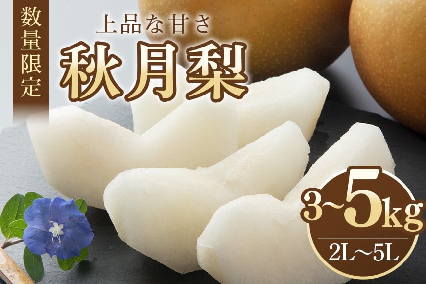 
            【数量限定・先行予約】 梨 秋月 選べる 3kg～5kg (3kg 2L～5L 6～9玉 / 5kg 2L～5L 9～16玉) なし ナシ あきづき アキヅキ 果物 フルーツ 国産 【9月10日～10月末発送予定】 70-SKU-1
          