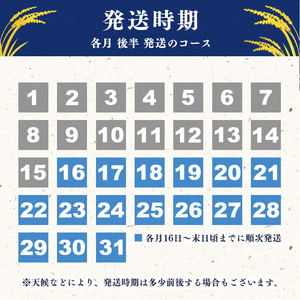 ＜2026年11月から2027年4月【後半】コース＞《先行予約》令和8年産 新米 6ヶ月定期便 《特別栽培米》 つや姫【無洗米】 合計30kg（5kg×6回） 2026年産 山形県産 【毎月後半（16