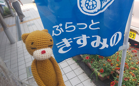 そば 乾麺 15人前 名店 ぷらっときすみの そば