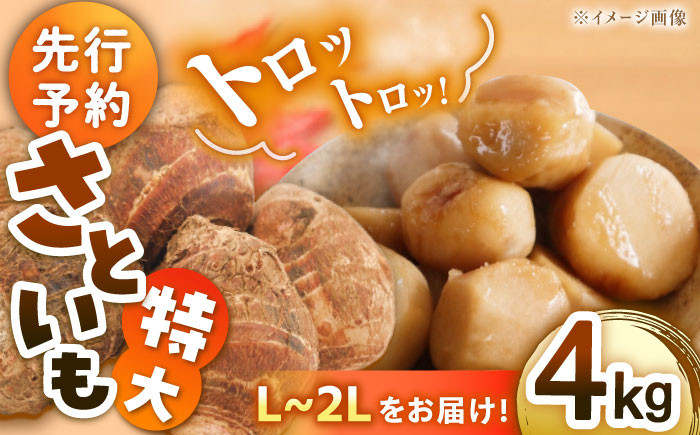 
            【9月下旬より順次発送】 トロトロさといも 4kg （L～2Lサイズ） 野菜 やさい 里芋 料理 さといも煮 さといも 芋 愛媛県大洲市/沢井青果有限会社 [AGBN003]野菜 やさい 里芋 料理 さといも煮 さといも
          