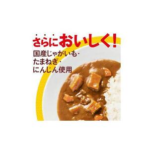 【定期便全3回】ボンカレーゴールド（大辛）30個×3回　計90個