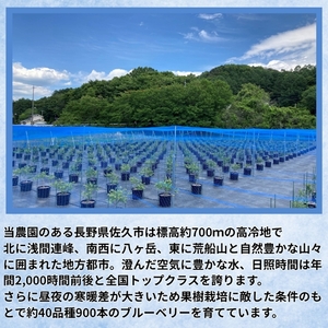 長野県産 ブルーベリージャム125gとはちみつ100gセット（各1本/化粧箱入） 信州 佐久市 無添加 国産 アカシア 蜂蜜 ハニー パン ヨーグルト はちみつ