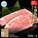 【ふるさと納税】特選 サーロインステーキ 土佐あかうし 長期熟成肉 200g×4 合計800g 田野屋銀象 完全天日塩付き サーロイン ステーキ 肉 お肉 和牛 牛肉 国産 牛 熟成肉 サーロインステーキ 豪華 贅沢 真空パック 冷凍配送 新鮮 美味しい 故郷納税 高知県 土佐市