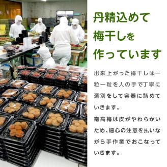 【1124-2】はちみつ梅干し(紀州南高梅)1.6kg 中粒 2L 和歌山県産