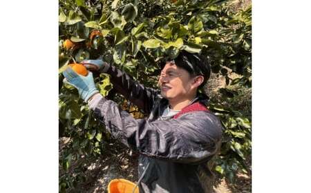 ＜12月上旬～下旬頃＞【先行予約】【農家直送】【和歌山県産】こだわりの樹上完熟有田みかん（2S～Lサイズ混合）5kgみかん ミカン 有田みかん 温州みかん 柑橘 有田 和歌山【ard150-2】