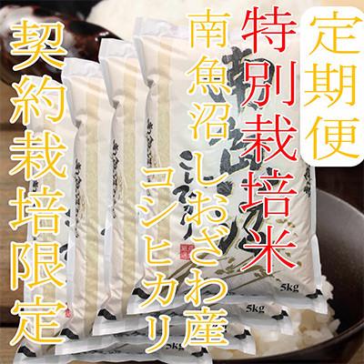 ふるさと納税 南魚沼市 【発送月固定定期便】【特別栽培米20Kg】生産者限定 南魚沼しおざわ産コシヒカリ全3回