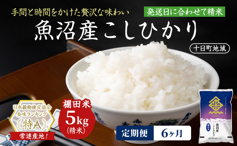【令和8年産 先行予約】【6ヶ月定期便】魚沼産こしひかり 棚田米(十日町地域) 精米 5kg 米 お米 コシヒカリ 定期 十日町市