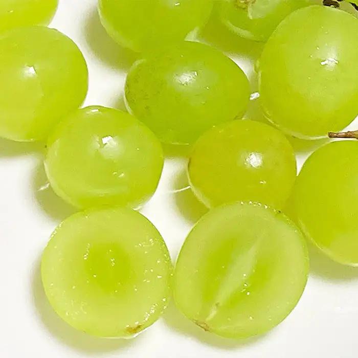 【ご家庭用】山形のシャインマスカット 優品 1房 約500g[10月中旬～11月中旬お届け]【令和8年産先行予約】FS23-649 くだもの 果物 フルーツ 山形 山形県 山形市 2026年産