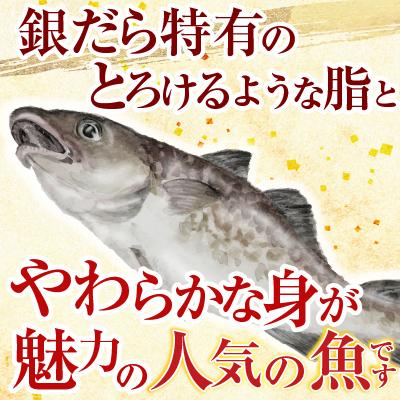 ふるさと納税 根室市 銀だら煮付け A-09023 |  | 01