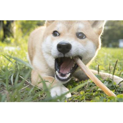 ふるさと納税 鷹栖町 わんdeereフルセット　わんちゃんおやつセット SA004