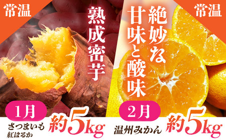 【先行予約】【6回定期便】 フルーツの名産地 山鹿から直送のあま〜い幸せ 熟成芋と旬のフルーツ [ZZZ002]  さつまいも みかん いちご すいか メロン ブルーベリー