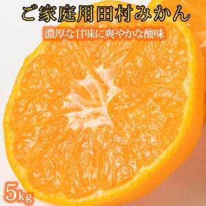 【2025年11月下旬より発送】【ご家庭用訳あり】田村みかん　5kg　【配送不可地域：離島】【1333853】
