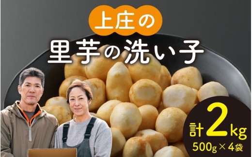 【先行予約】皮むきいらず、煮っ転がしに最適！上庄の里芋の洗い子【冷凍】500g × 4　計2kg【10月中旬より順次発送】